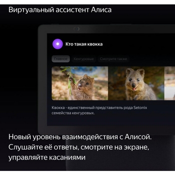 Яндекс.Станция Дуо Макс - 4PDA