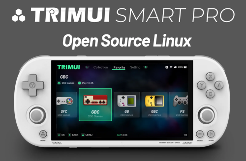 Trimui Smart Pro 4.96 Inch IPS Screen Handheld Game