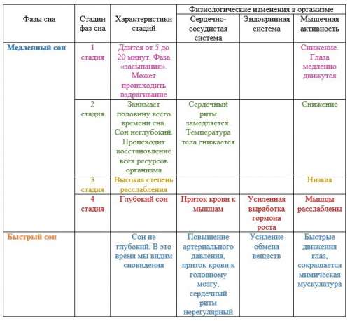 Фазы сна человека по времени таблица выспаться